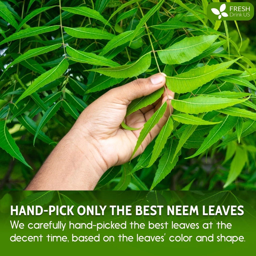 freshdrinkus-premium-10oz-neem-leaf-powd-81ogPjLxb4L.jpg