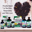 nature-s-answer-sambucus-elderberry-supp-81PJzyDRdHL.jpg