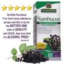 nature-s-answer-sambucus-elderberry-supp-71NLC1HONUL.jpg