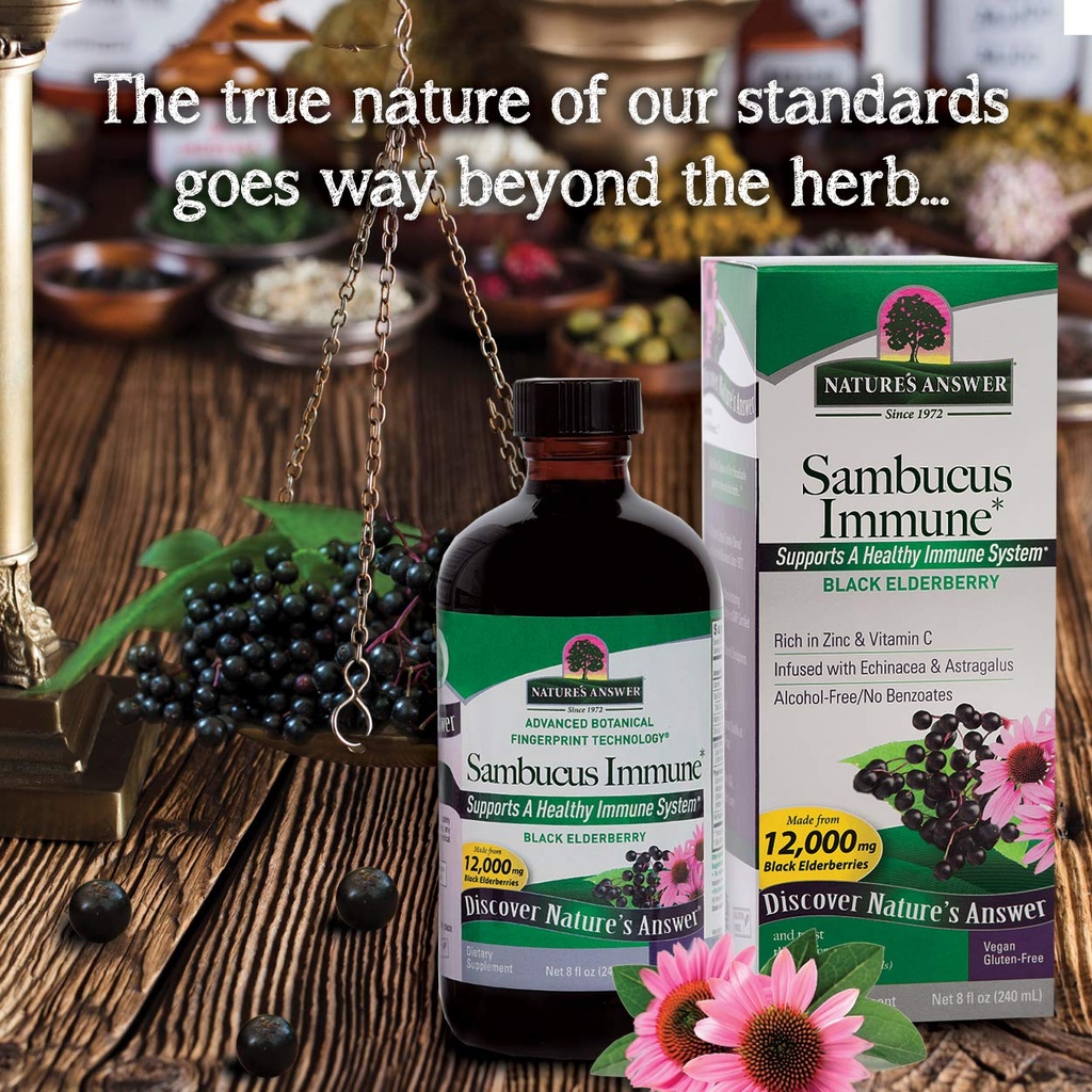 nature-s-answer-sambucus-elderberry-supp-81LRuzN1cAL.jpg