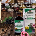 nature-s-answer-sambucus-elderberry-supp-81LRuzN1cAL.jpg