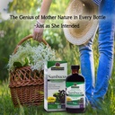 nature-s-answer-sambucus-elderberry-supp-81kcXq5BZzL.jpg