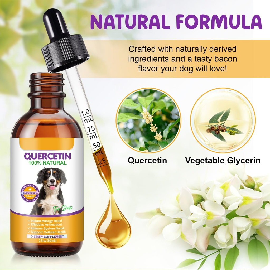 quercetin-for-dogs-liquid-quercetin-drop-71n-GMm1oNL.jpg