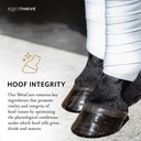 equithrive-metacare-pellets-horse-supple-81k-iV551SL.jpg