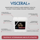 mad-barn-visceral-supplement-for-horse-g-714CtOD8hDL.jpg