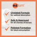 ezium-chelated-magnesium-supplement-for--71uoolHEDFL.jpg