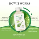 aloecure-organic-aloe-vera-juice-aloe-ca-71OlwY8TYFL.jpg
