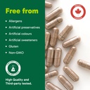organika-korean-red-ginseng-100-ct-81ulfHyuzFL.jpg
