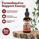 rejuvica-health-active-ginseng-active-b1-81aMPcefZ3L.jpg