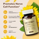 sunflower-lecithin-2400-mg-180-softgels--71oC4QhdeDL.jpg
