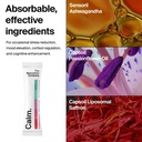 the-absorption-company-powder-bundle-cal-81zOrUkmSCL.jpg