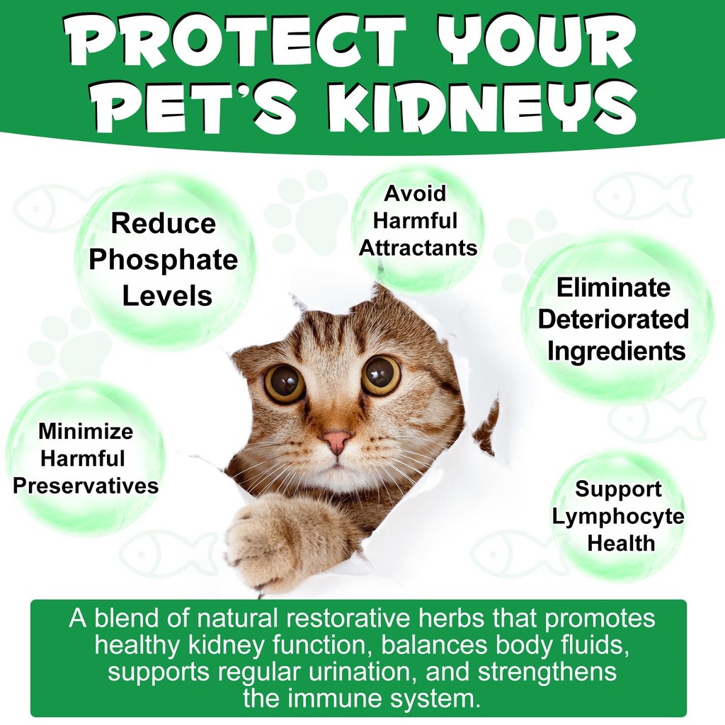 kidney-support-for-cats-cat-kidney-treat-710BU7iv3NL.jpg
