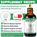 kidney-support-for-cats-cat-kidney-treat-71e7lanhVNL.jpg