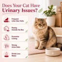 cat-urinary-kidney-support-lickable-trea-71gwX-Hg1ML.jpg