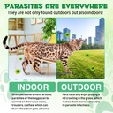 specifically-formulated-for-cats-kidney--81F3EYYU8cL.jpg