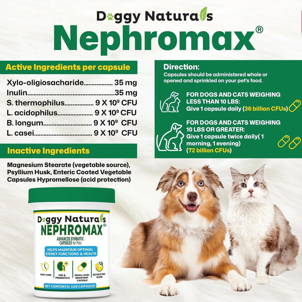 nephromax-synbiotic-capsules-for-kidney--814lULH-jvL.jpg
