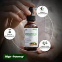 oil-of-oregano-drops-with-black-seed-oil-61DrXeePfSL.jpg