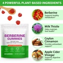 berberine-gummies-with-ceylon-cinnamon-s-71vIWgqvPYL.jpg