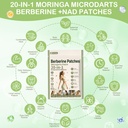 glplus-1-patches-berberine-patch-moringa-717C+4lNuHL.jpg