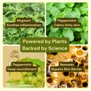 mugwort-peppermint-anti-itch-relief-ecze-81IoPv+FauL.jpg