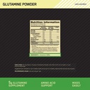 optimum-nutrition-on-l-glutamine-powder--717J-hZFUtL.jpg