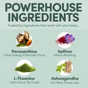 energy-drink-powder-with-paraxanthine-24-7154-MCoc5L.jpg