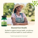 swanson-probiotic-l-reuteri-plus-30-veg--816gXwXejpL.jpg