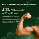 rasayanam-ashwagandha-ksm-66-clinically--71WLryas39L.jpg