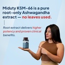 miduty-ashwagandha-3x-supplement-500-mg--61ffWmji7oL.jpg