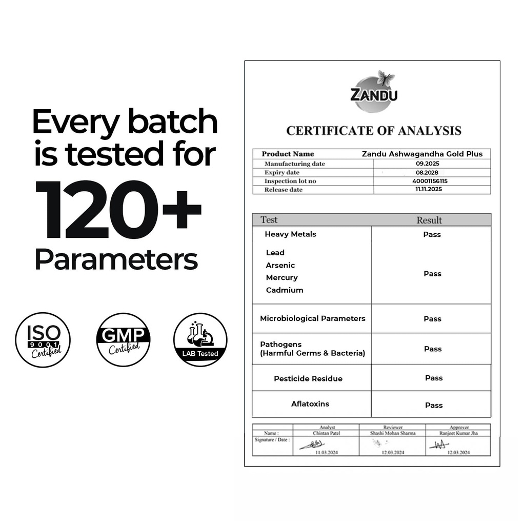 zandu-ashwagandha-gold-plus-i-reduces-st-61-L5-kXQhL.jpg