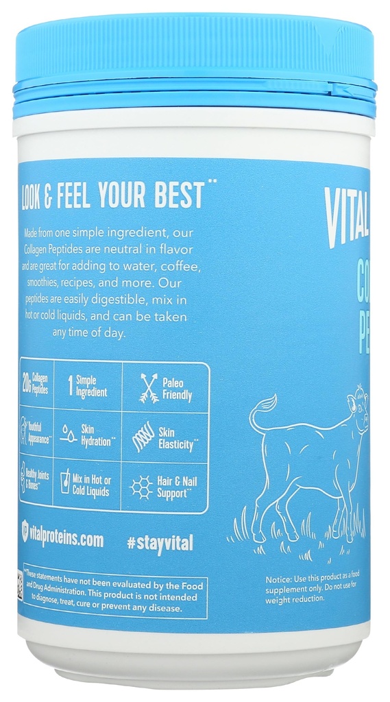 vital-proteins-collagen-peptides-powder--81C2sPap+NL.jpg