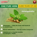 baidyanath-ashwagandha-churna-100g-pack--61aMeenbtkL.jpg