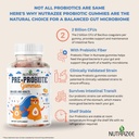 nutrazee-pre-probiotic-gummies-2-billion-81hxtbZAEKL.jpg