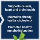 life-extension-mega-green-tea-extract-de-71SB11NHd7L.jpg