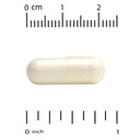california-gold-nutrition-lactobif-probi-516zvVekr+L.jpg