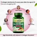 vlado-s-himalayan-organics-plant-based-o-71q16RGaBIL.jpg