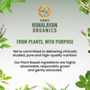 vlado-s-himalayan-organics-plant-based-o-71TJI5IEB9L.jpg