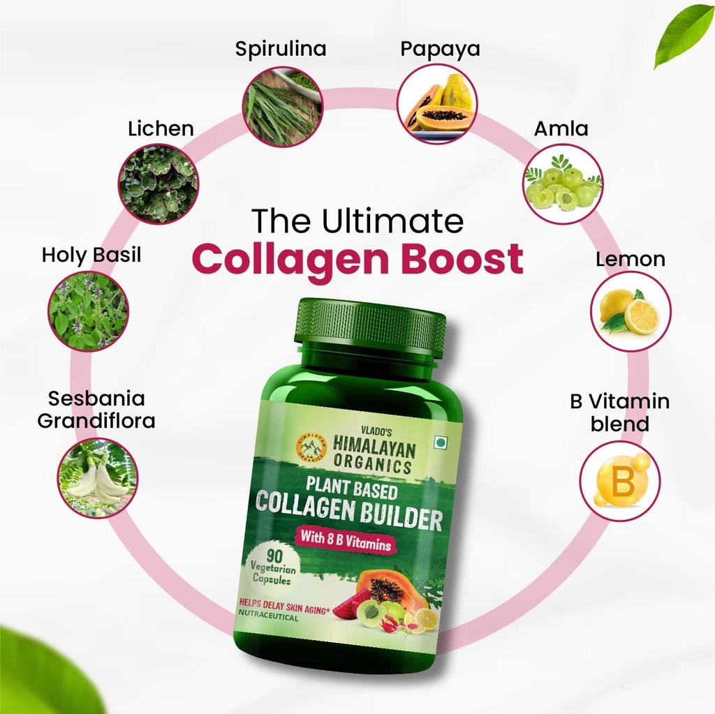 vlado-s-himalayan-organics-plant-based-o-71TQmmLdHRL.jpg
