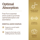 solgar-essential-amino-complex-90-vegeta-71eyN7cMm+L.jpg