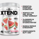 xtend-original-bcaa-powder-zero-sugar-wa-81--pSItgOL.jpg