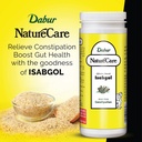 dabur-nature-care-isabgol-provides-effec-81l-9CihepL.jpg
