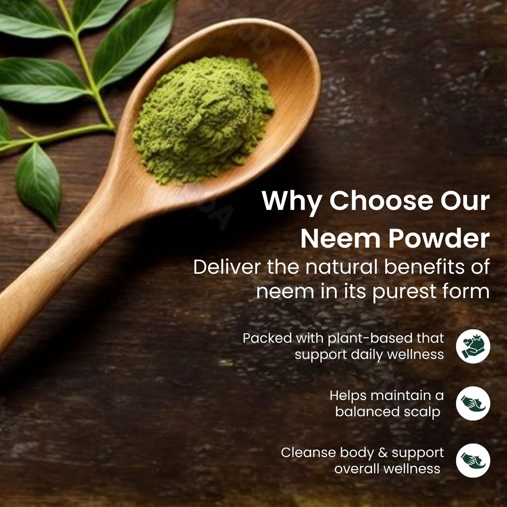 neem-leaf-powder-100-pure-natural-neem-p-81JPcXQsjFL.jpg