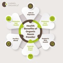 carmel-organics-neem-leaves-powder-340-g-61X8T0mlKwL.jpg