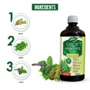 dabur-giloy-neem-tulsi-juice-benefit-of--71F1vgLLUUL.jpg
