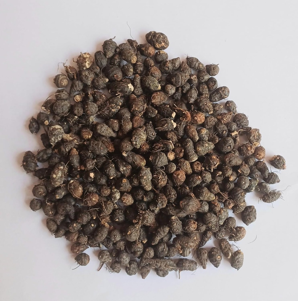 nagarmotha-root-raw-nagarmotha-cyperus-r-71PFVqJ6D5L.jpg