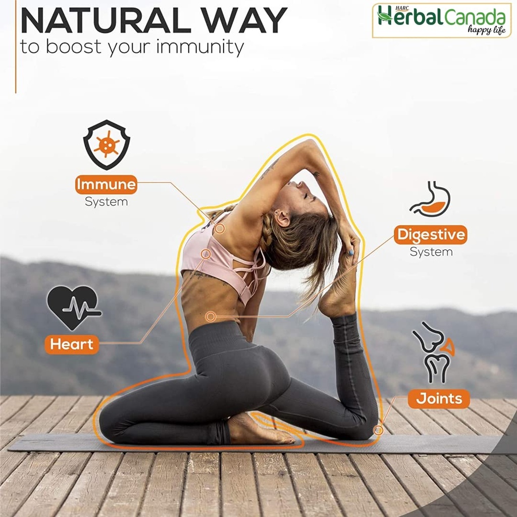 harc-herbal-canada-haldi-100-tablets-nee-61x1aX0RC6L.jpg
