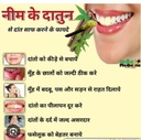 organic-neem-stick-for-teeth-brush-neem--611dZtqJddL.jpg