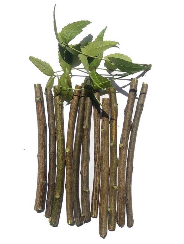 organic-neem-stick-for-teeth-brush-neem--61I+1Fzej5L.jpg