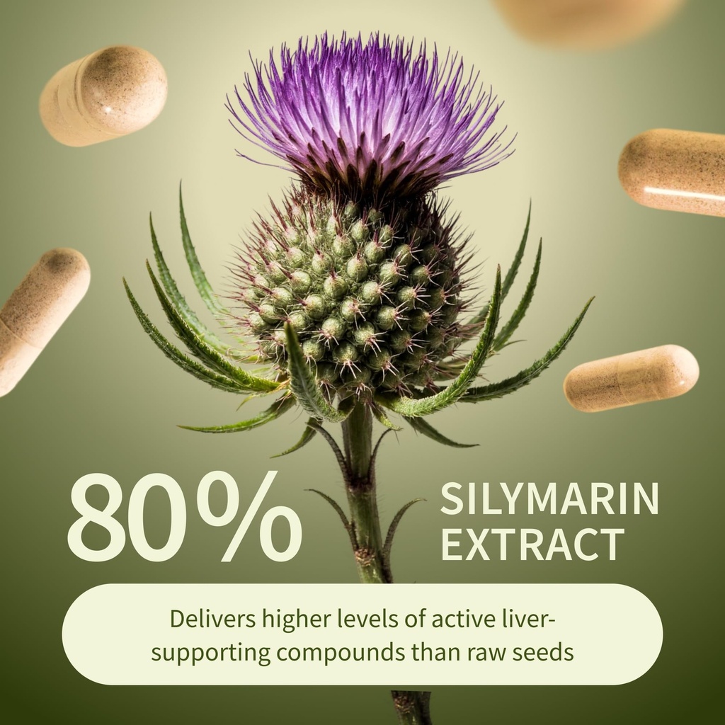 snap-supplements-milk-thistle-silymarin--81n19v-38CL.jpg