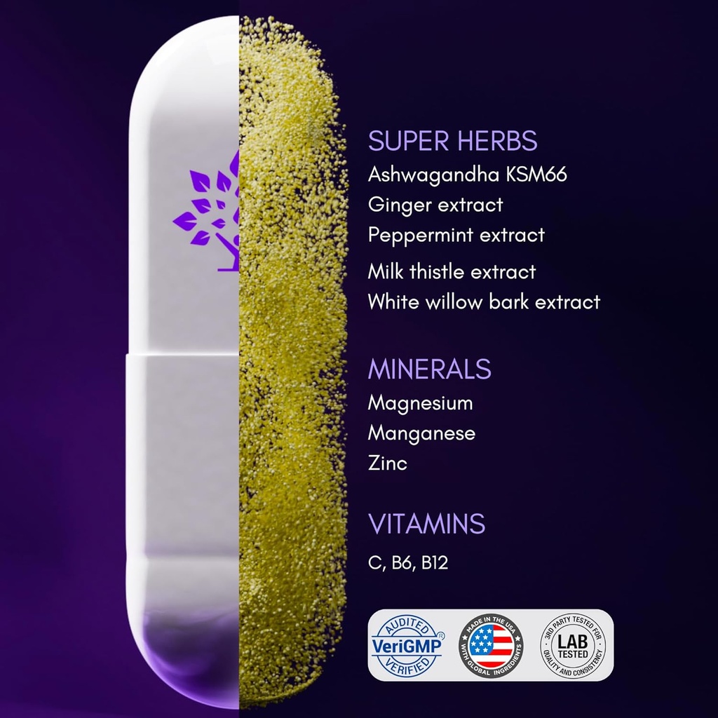 purple-tree-celebrate-next-day-bundle-po-6.jpg